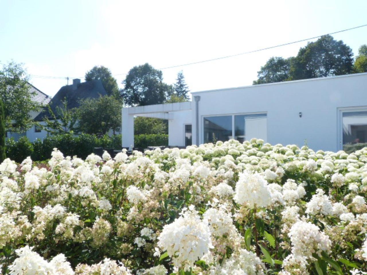 Villa Mosel Morbach Ngoại thất bức ảnh